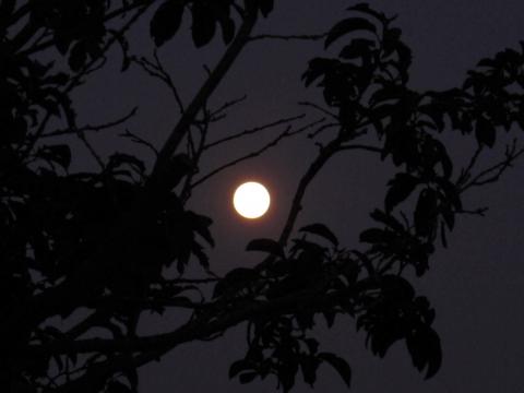full moon, cotati